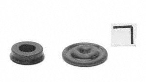 Raybestos CSK925 Clutch Slave Cylinder Repair Kit Slave Cylinder Kits Raybestos CSK925