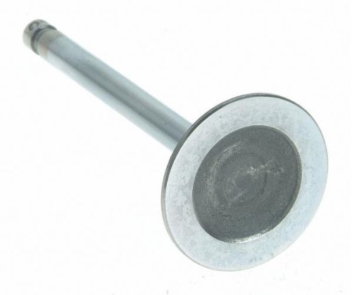 Intake Valves Sealed Power V-2554