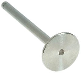 Exhaust Valves Sealed Power V1830