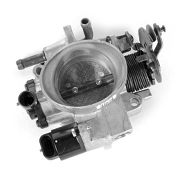 Fuel Injection ACDelco 17113631