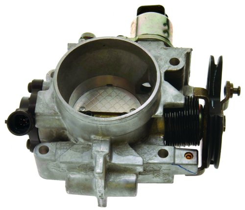 Fuel Injection ACDelco 17113633