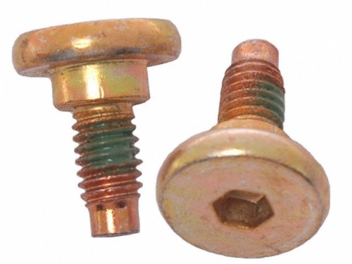 Caliper Bleeder Screws ACDelco 18K101