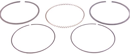 Rings Beck Arnley 0133958