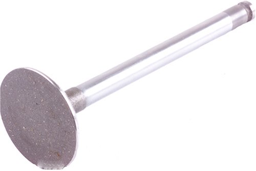 Intake Valves Beck Arnley 0212183