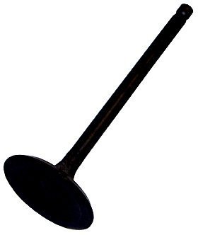 Exhaust Valves Beck Arnley 0213514