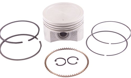 Pistons Beck Arnley 012529020