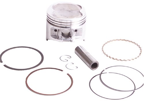 Pistons Beck Arnley 0125363