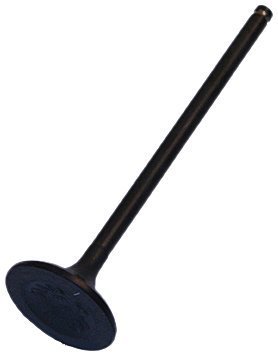 Intake Valves Beck Arnley 0213521