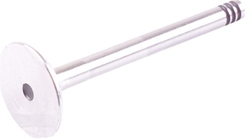 Intake Valves Beck Arnley 0213315
