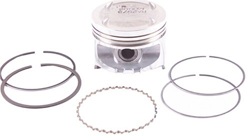 Pistons Beck Arnley 012530120