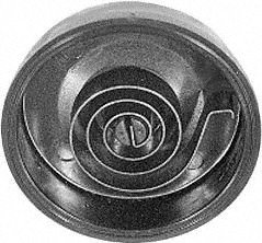 Choke Thermostats BorgWarner TH101