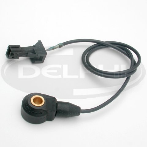 Detonation Delphi AS10117