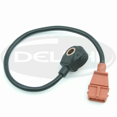 Detonation Delphi AS10087