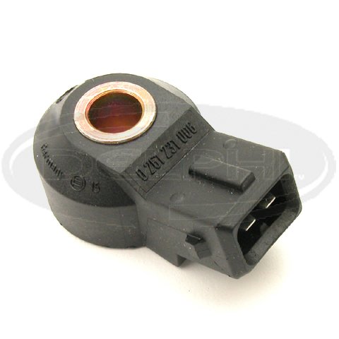 Detonation Delphi AS10112