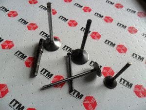 Intake Valves ITM Engine Components RV2629