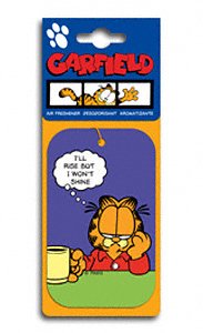 Air Fresheners Car Freshner 13012