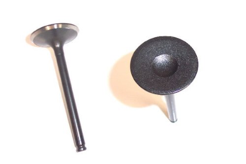 Intake Valves Rock Products IV223