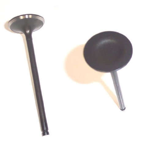 Intake Valves Rock Products IV219