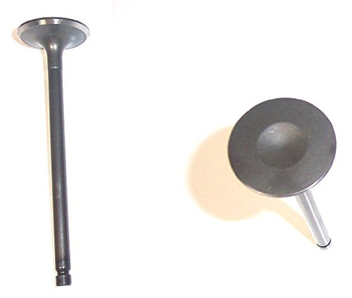 Intake Valves Rock Products IV607