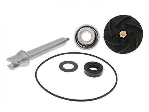 Hold Down Springs V PARTS 8430525116429