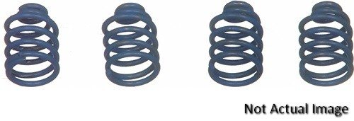 Hold Down Springs Wagner H1149