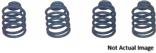 Hold Down Springs Wagner H1149B