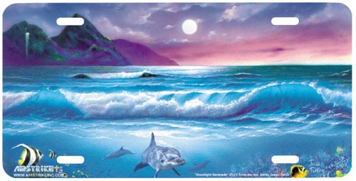 Moonlight Serenade - Beach - Wildlife Decor Art Print - License Plate Tag By Jason Fetko From Airstrike Bulbs Airstrike AS213T