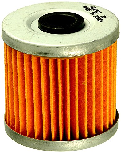 Oil Filters Fram CH6070