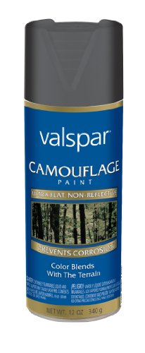 Spray Paint Valspar 17038