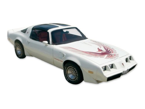 Decals TRANSAM 1981TB-RED