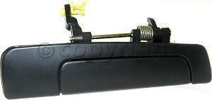 Body Parts Train M491305