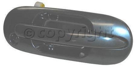Body Parts Train H491313