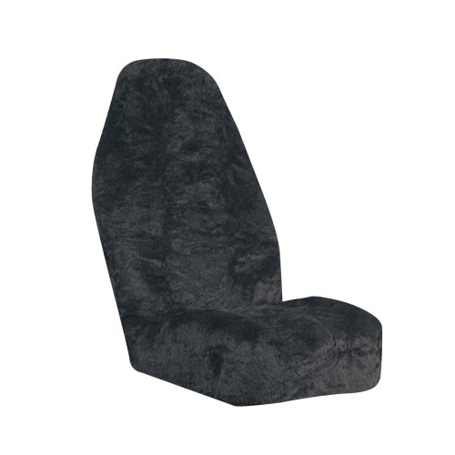 Accessories Auto Expressions 5056136