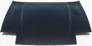 Hood Scoops & Vents Parts Train 7625-ford-prob