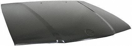 Hood Scoops & Vents Parts Train B163-bmw-328i
