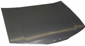 Hood Scoops & Vents Parts Train B130107-buic-rain