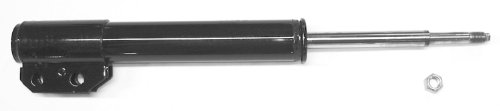 Struts Gabriel G55681