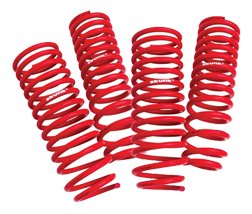 Coil Springs Skunk2 Racing 519-05-1660