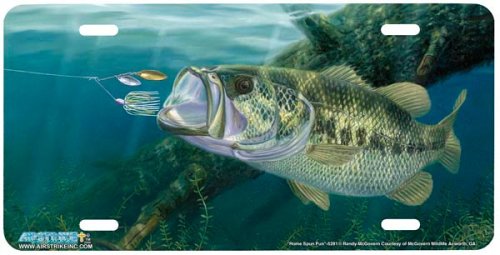 Home Spun Fun - Bass Fish Art Print - License Plate by Randy McGovern from Airstrike, Inc. Covers Airstrike Inc. 5281