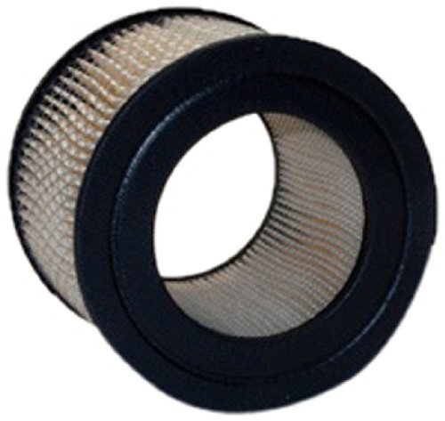 Air Filters ACDelco A2857C