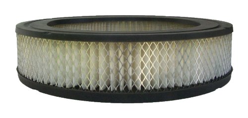 Air Filters ACDelco A3019C