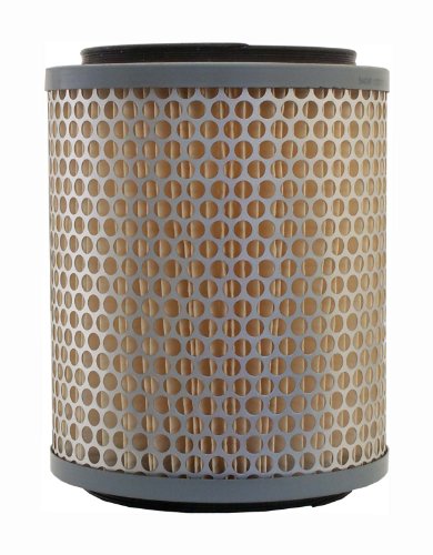 Air Filters ACDelco A2861C