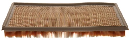 Air Filters ACDelco A917CF