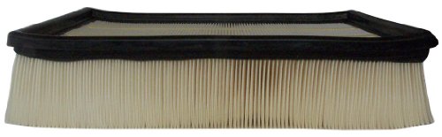 Air Filters ACDelco A2569C