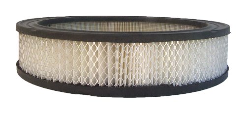 Air Filters ACDelco A3025C