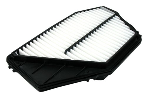 Air Filters Pentius PAB7420