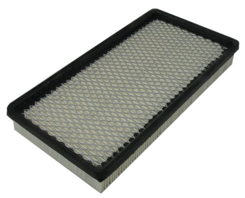 Air Filters Pentius PAB7421