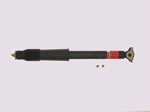 Shocks Sachs 101 945