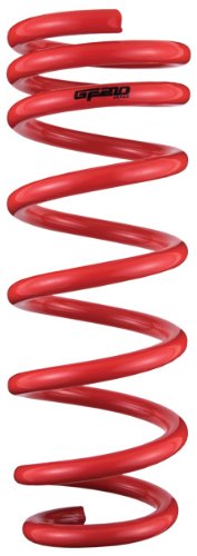Coil Springs Tanabe TGF008