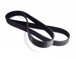 Belts Paxton 2A046-073